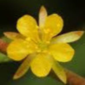 Meet your Posher, Carla